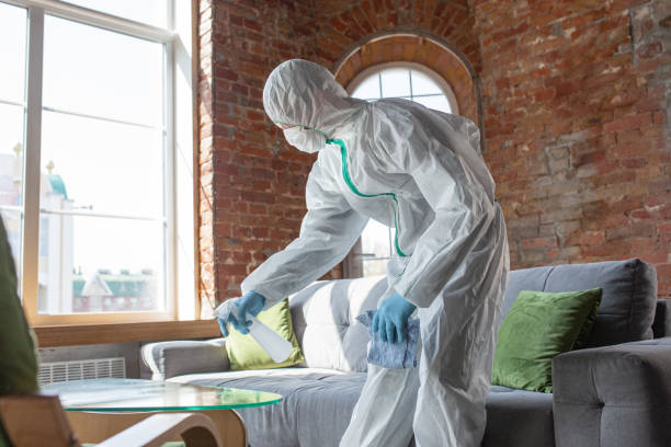  Chowchilla, CA Mold Removal Pros