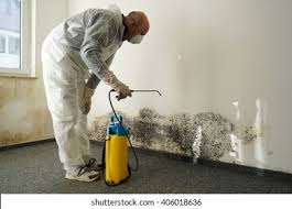 Reliable Chowchilla, CA Mold Removal Solutions